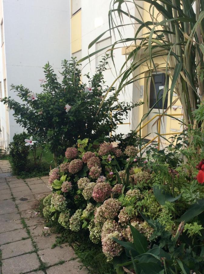 Jardim Das Flores FAO Eksteriør bilde